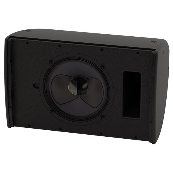 Martin_Audio_CDD10_1.jpg