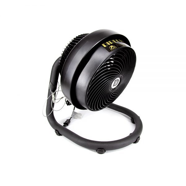 Citc_Fx_Director_Fan_1 Citc Fx - Director Fan For Sale